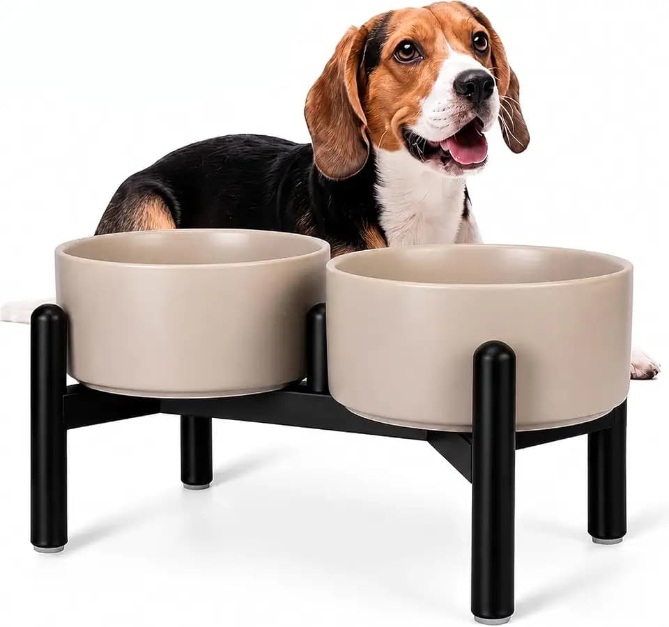 Raised Ceramic Dog Bowl Set with Stand, 3.5 Cups Elevated Dog Food Stand