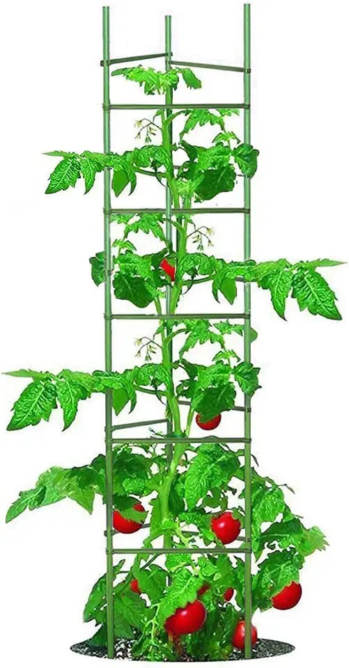 Growsun Tomato Cage for Garden, Upto 73 inch 6 PackTall Tomato Trellis Garden Stakes Plant Support, Green(5ft Stake add 18 inch Adjustable Stakes)