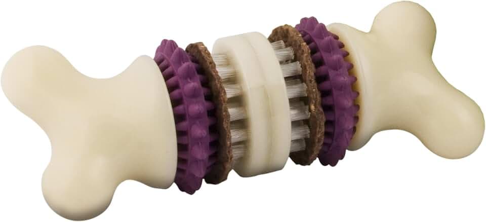 PetSafe Busy Buddy Bristle Bone, Large, Helps Keep Your Dog's Teeth Clean, Long-Lasting Playtime