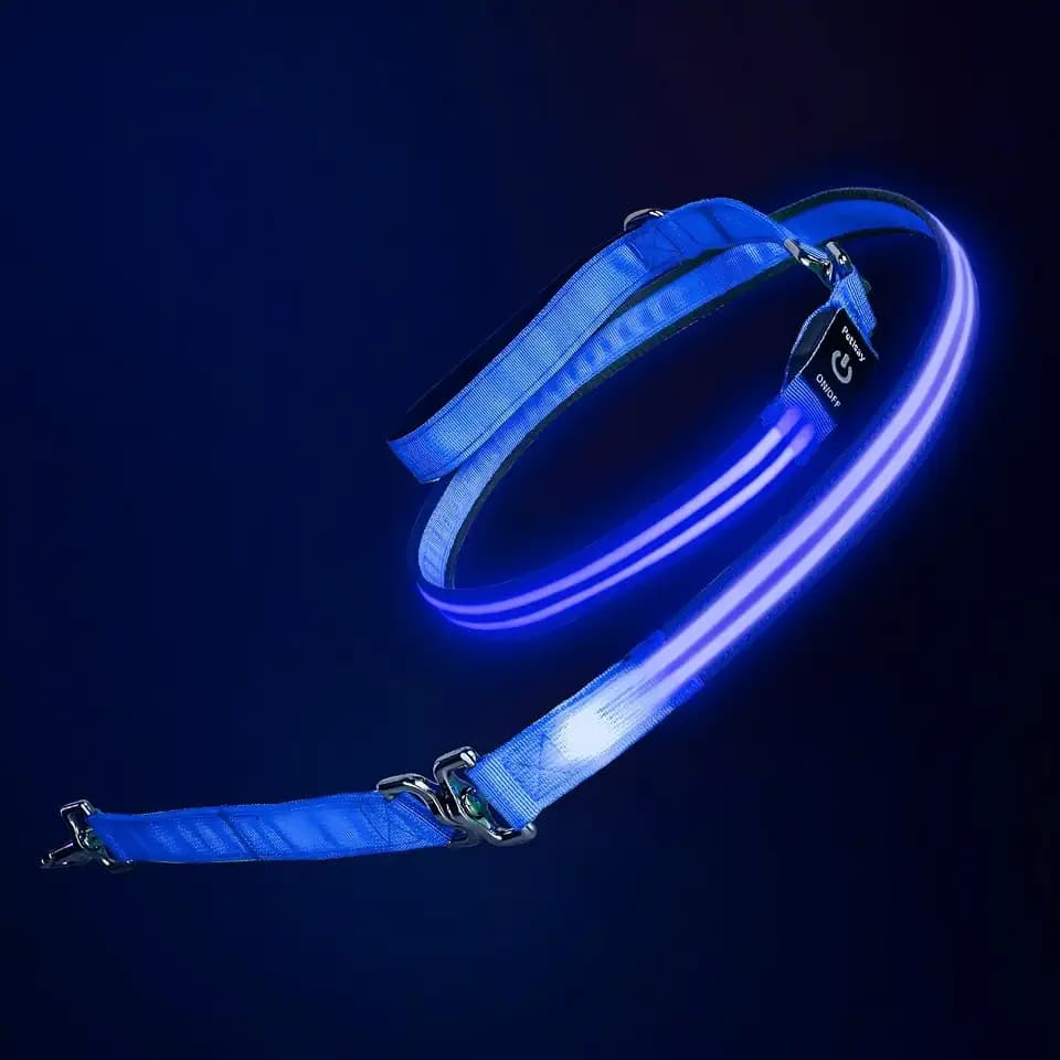 LED Dog Leash, Reflective Waterproof Light Up Safety Leashes, 6FT, Blue