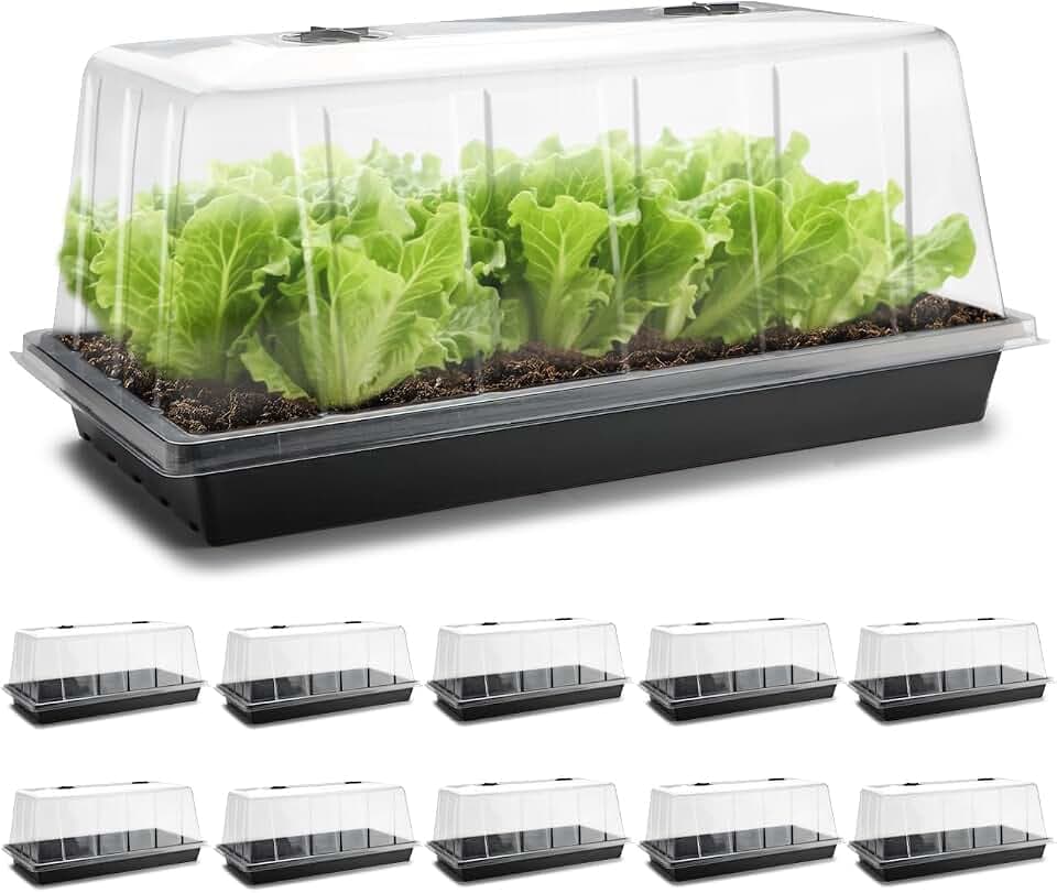 1020 Seed Starting Trays with Tall 7.3" Humidity Dome, No Hole, 10-Pack