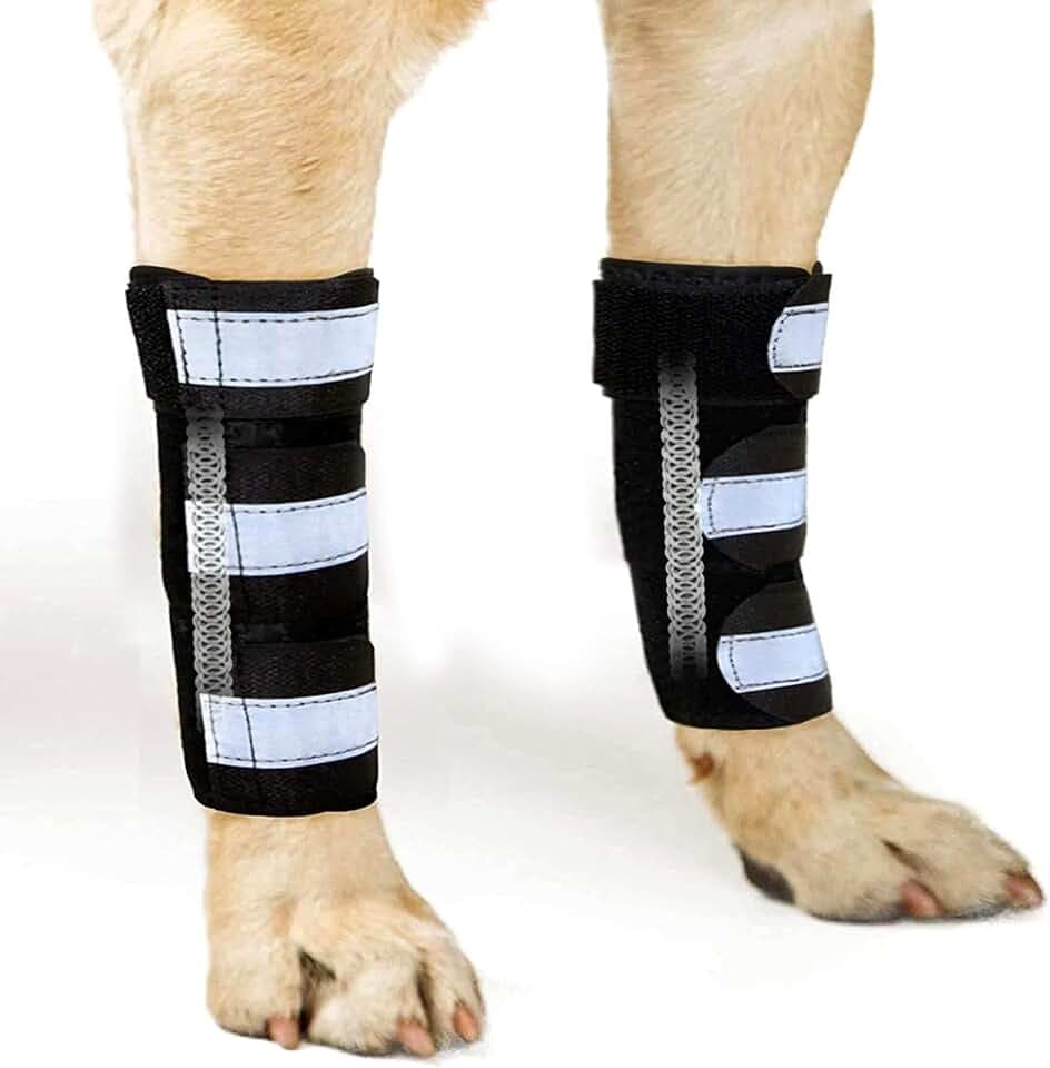 NeoAlly- Front Leg Brace for Dogs & Cats, Dog Leg Brace with Metal Spring Inserts, Dog Leg Sleeve for Carpal Support, Dog Leg Sleeve with Reflective Straps, L/XL, Pair