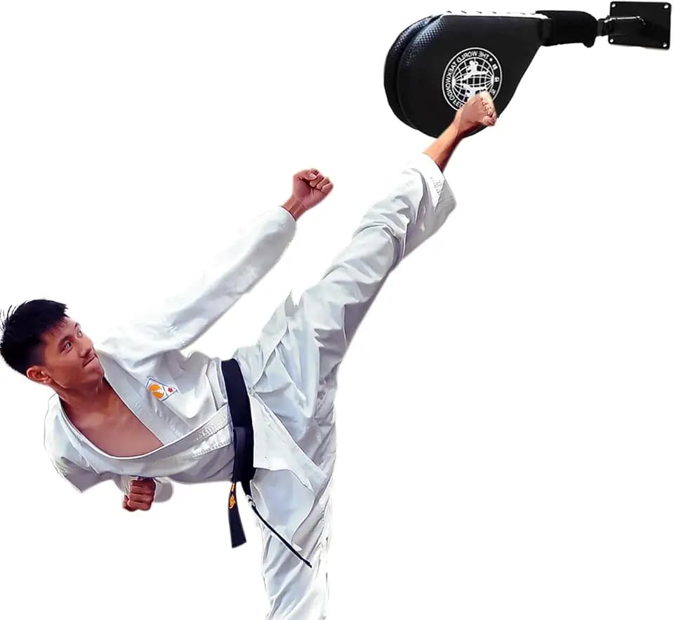 Wall Mounted Taekwondo Kick Pad, Taekwondo Training Kicking Target Holder
