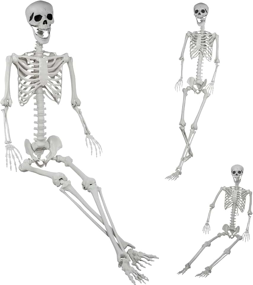 5.9Ft/180cm Halloween Skeleton - Life Size Full Body Realistic Human Bones with Posable Joints for Halloween Indoor/Outdoor Spooky Decoration