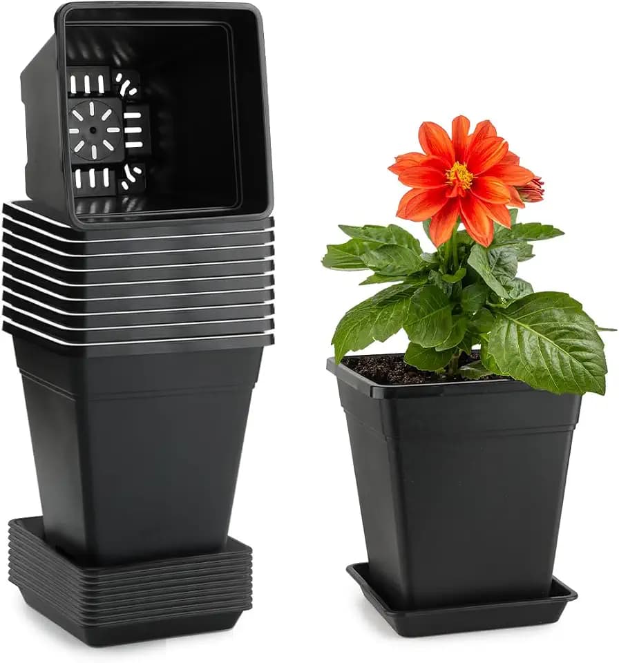 6 inch Plant Pots, 10 Pack Flower Pots Outdoor Indoor, Square Plastic Planter with Drainage Holes and Saucers, 0.5 Gallon Planter Pots for Plants Deep Capacity Garden Pot Container with Tray
