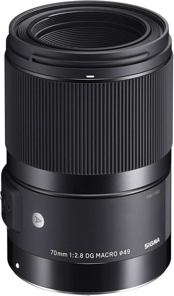 Sigma 70mm F2.8 DG Macro Art für L-Mount