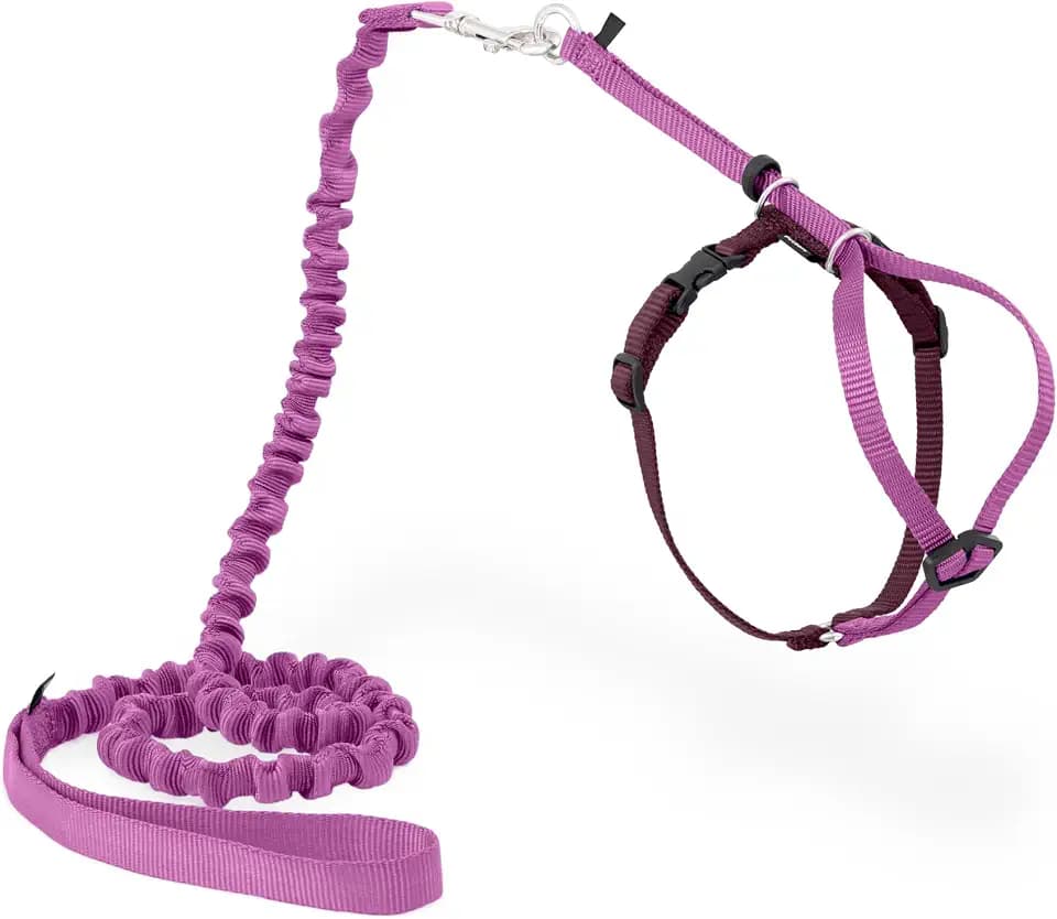 PetSafe Come with Me Kitty Harness and Bungee Cat Leash, Dusty Rose, Medium