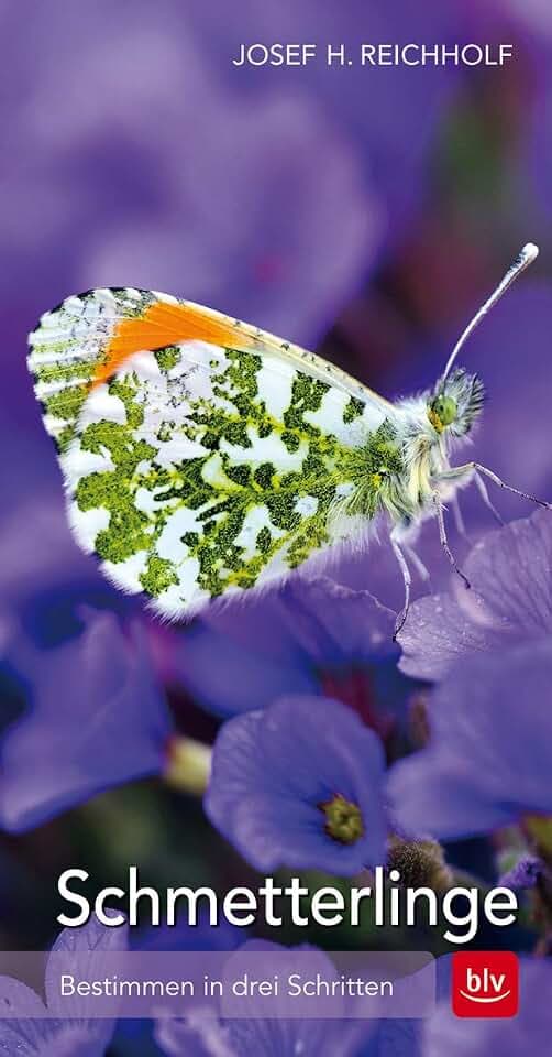 Schmetterlinge: Bestimmen in drei Schritten (BLV Insekten)