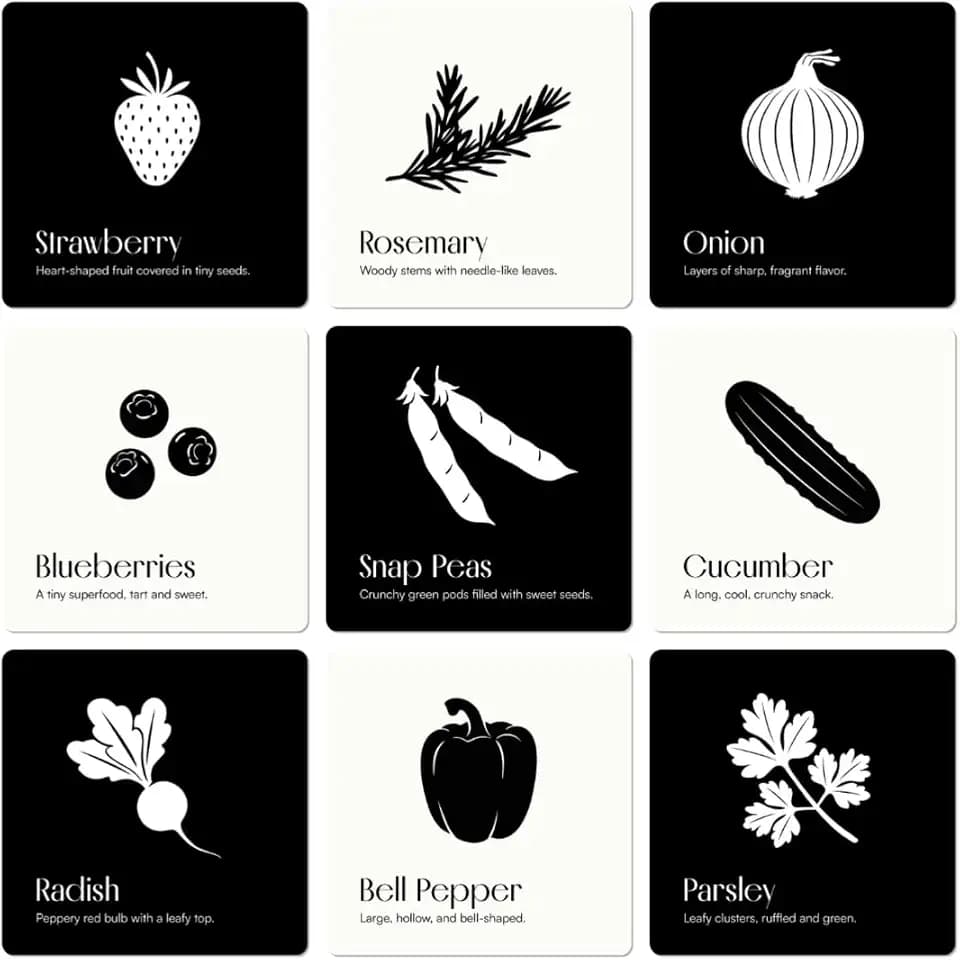 Chunky Deli Garden for Baby High Contrast Art Flashcards Toy Pack of 10
