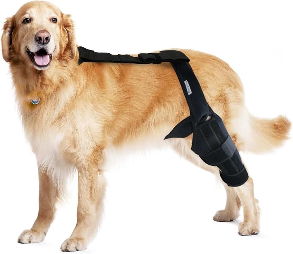 Dog Knee Brace for Torn ACL Hind Leg – Adjustable Canine ACL/CCL & Cruciate Ligament Support, Arthritis Pain Relief, Durable Stabilizer Wrap, Black, Large