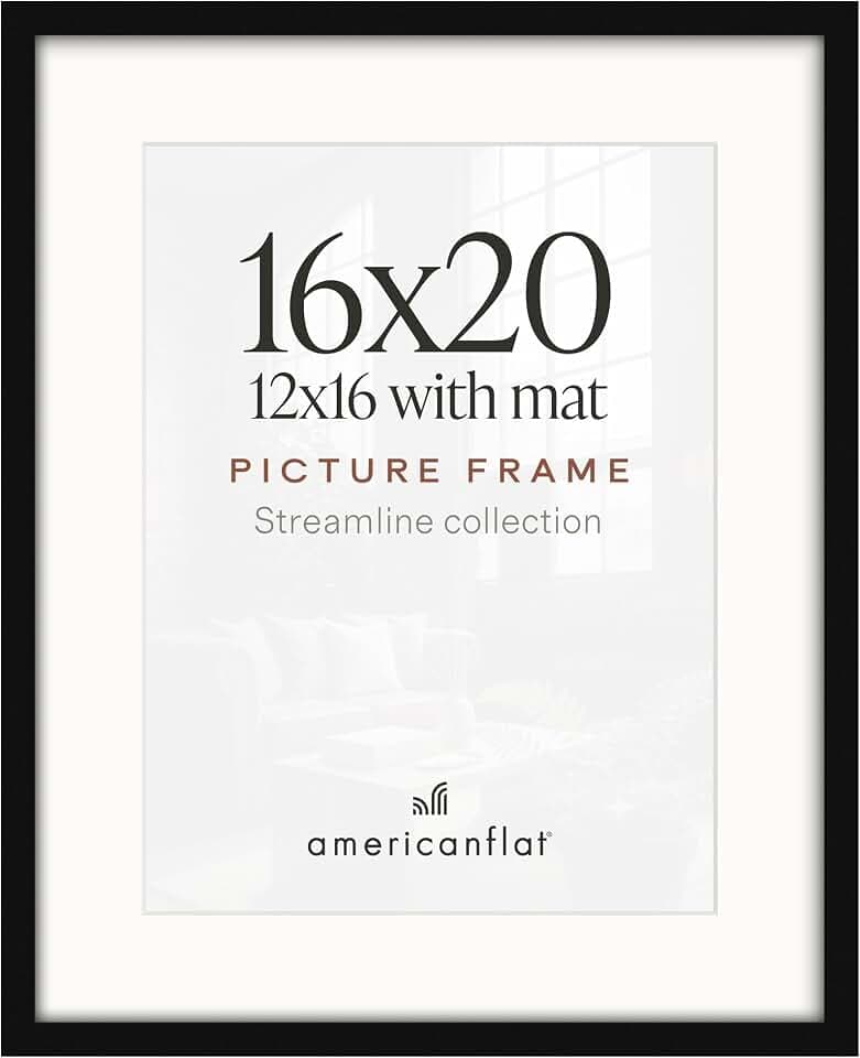 Americanflat 16x20 Poster Frame - Matted to 12x16 - Slim Molding - Black