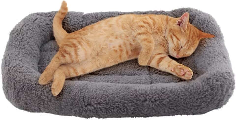 Enjoying Katzenbett Quadrat 38 X 26 cm, Wärme Katzenschlafplatz für Kleinen Hunde Katze Hasen, Sanft Katzenmatte mit Kopfkissen, Katzenkissen für Käfig Transportbox, Anti-Rutsch, Waschbar