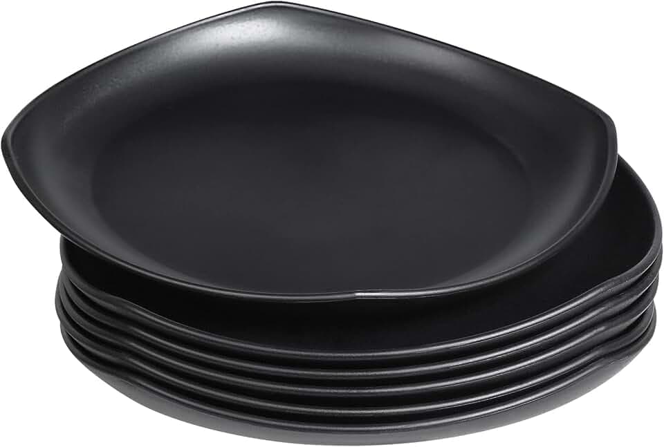 Greentainer Groß Teller 6er 24.1cm Speiseteller für BBQ,RV, Party, Picknick, Camping,Unzerbrechliches Plate aus PP für Kinder & Erwachsene|Leichtes Plastikteller| Mikrowellen & Spülmaschinenfest