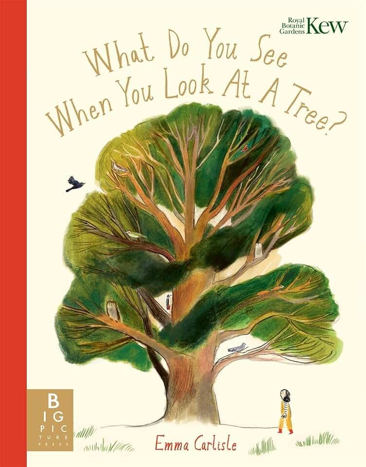 What Do You See When You Look At a Tree?: A mindful picture book about growing, connecting and finding stillness among trees