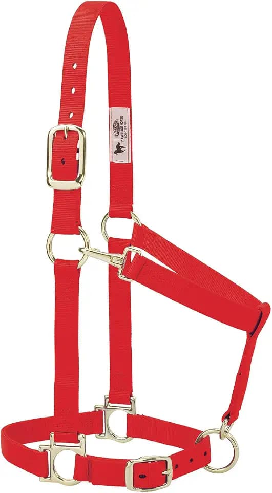 Weaver Equine Nylon Horse Halter, Average Horse, Padded & Adjustable, 1 in