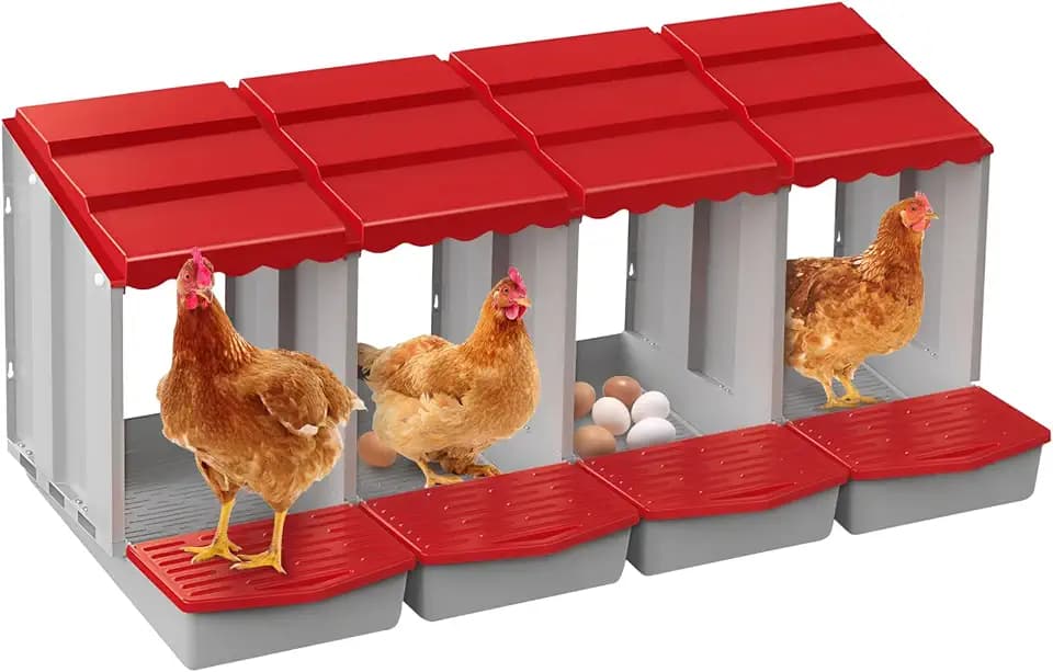 4 Hole Chicken Nesting Box with Rolling Egg Collection Design