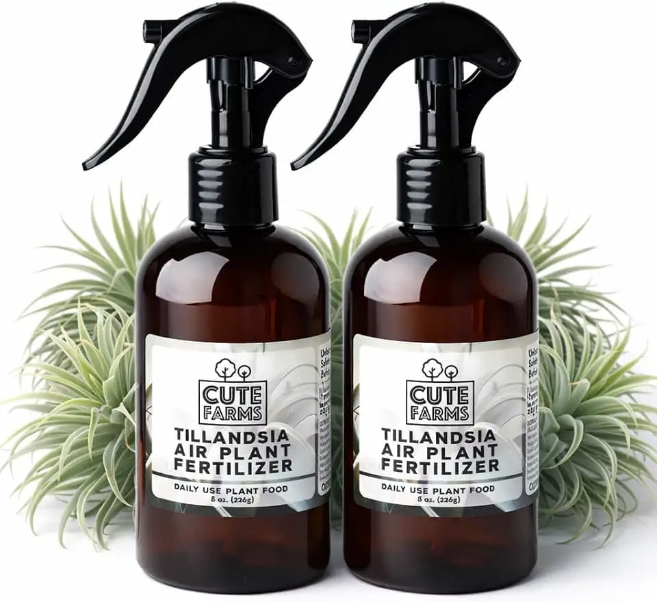 Cute Farms Tillandsia Air Plant Fertilizer | Gentle Daily Use Formula | Formulated Nutrients for Air Plants (8 oz Spray Bottle, 2 Pack)