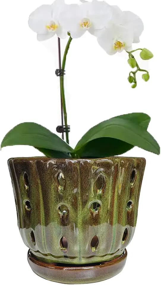 Ceramic Orchid Pots with Drainage Hole 6'' (mossgreen)