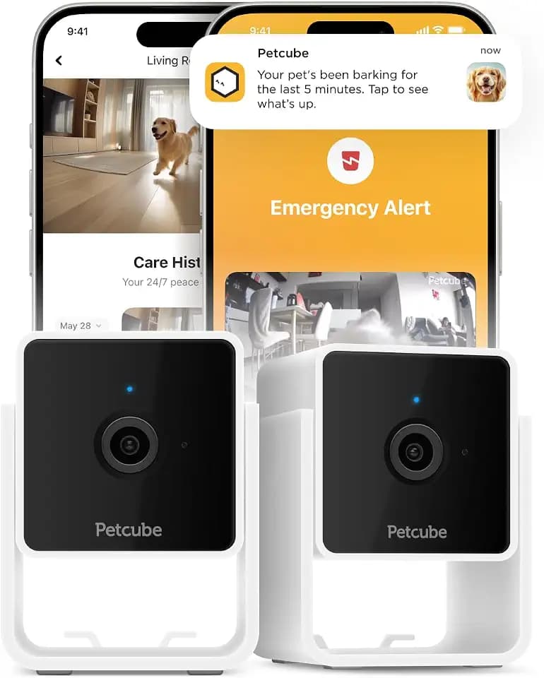 Petcube Cam (2-Pack) – Wi-Fi Pet & Security Camera with App