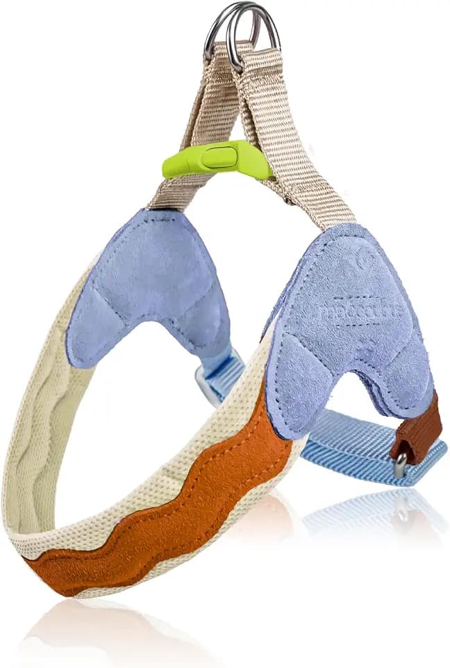 No Pull Dog Harness, Soft Breathable Mesh Padded Everyday Harness with Dual Leash D Rings, Adjustable Escape Proof Fit for Training or Walking for All Dogs