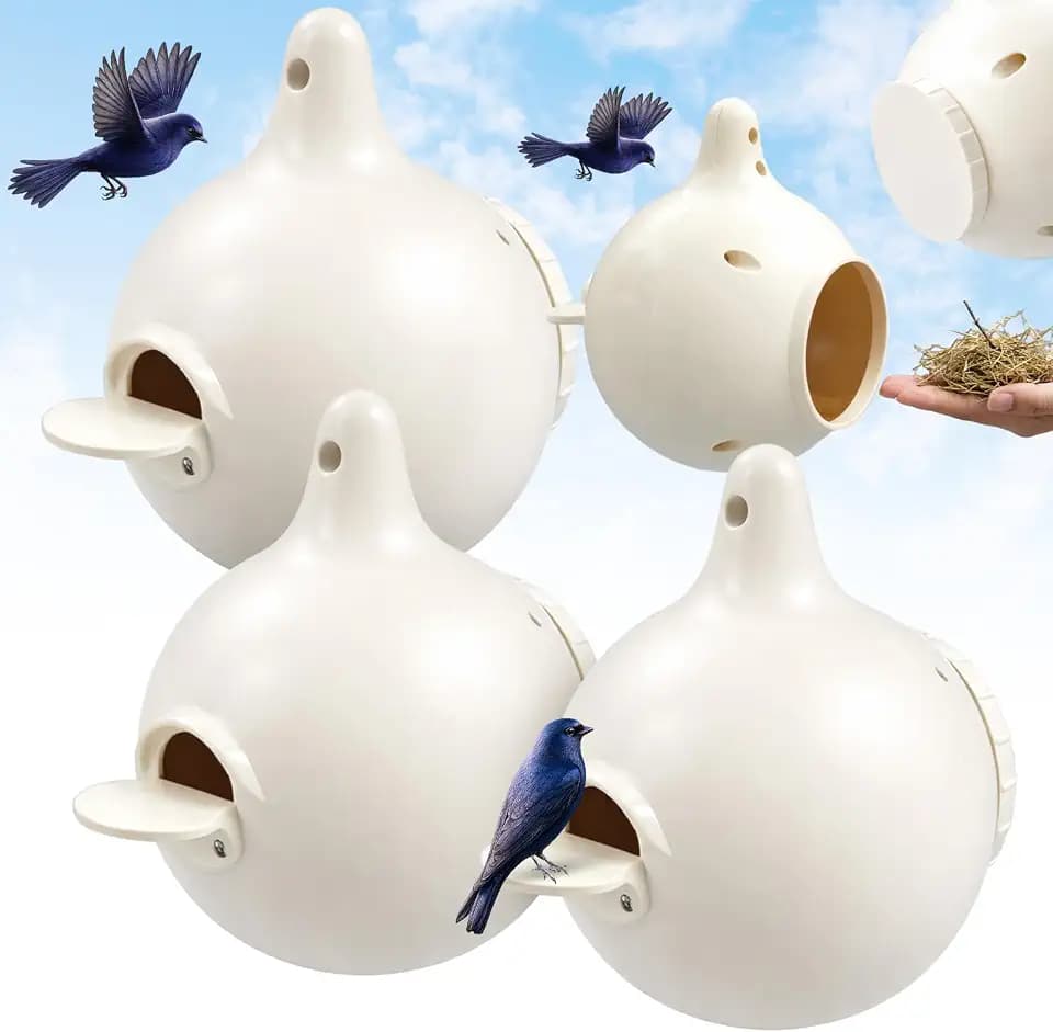 Yaocom 8 Pack Purple Martin Gourds,Martin House Gourds