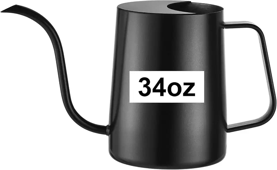 Small Watering Can for Indoor Plants, 34 oz Stainless Steel, Black
