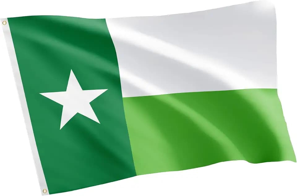 Desert Cactus University of North Texas UNT Flag 3x5 Outdoor (Green Texas)