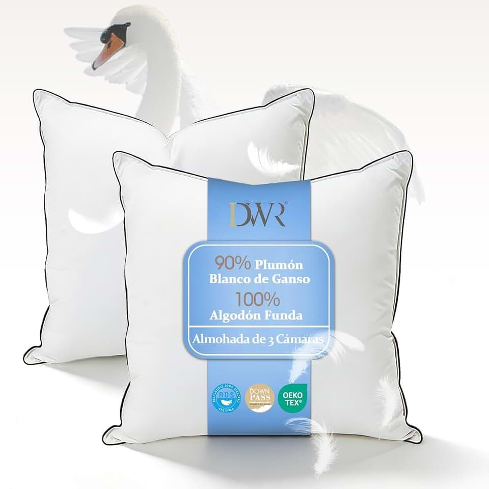 DWR Daunenkissen 60x60 cm (2 Stück) | 3-Kammer Kopfkissen | 90% weiße Gänsedaune Außen | Feder-Mischung Innen | 100% Bio-Baumwollbezug | Mittlere Unterstützung Schlafkissen | RDS und Oeko-TEX