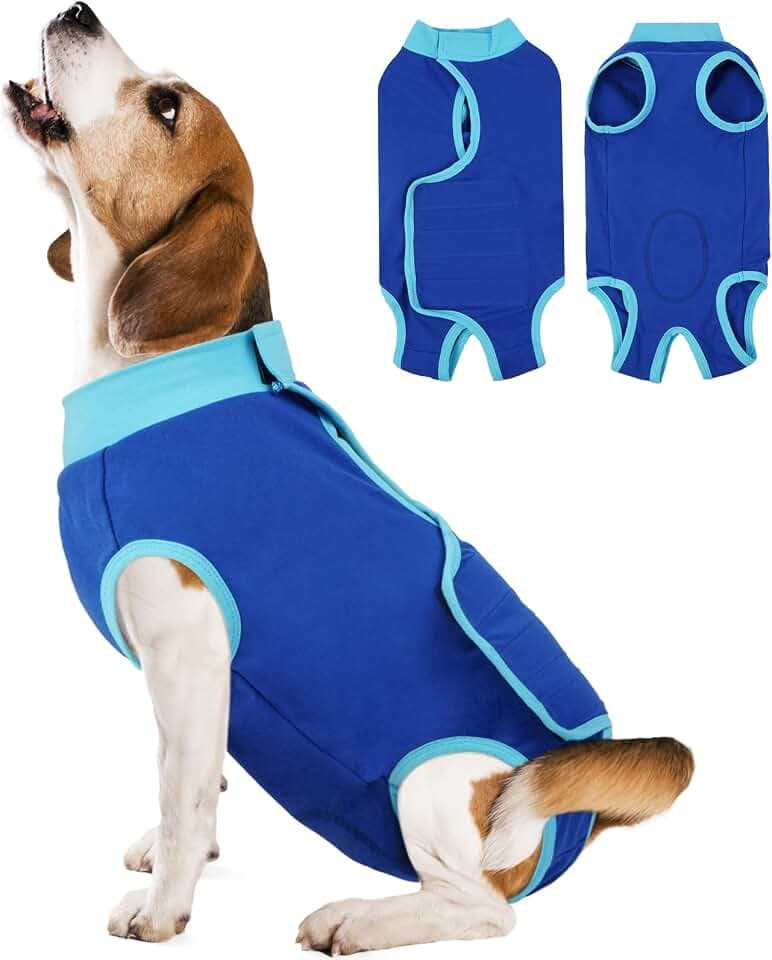 Kuoser Hundebody Nach Op, Einstellbar Body Hund Kastration Hündin, Atmungsaktiv Body Hunde Nach Op Hündin,Body Für Hunde Nach Op,Alternative Halskrause Blau XS