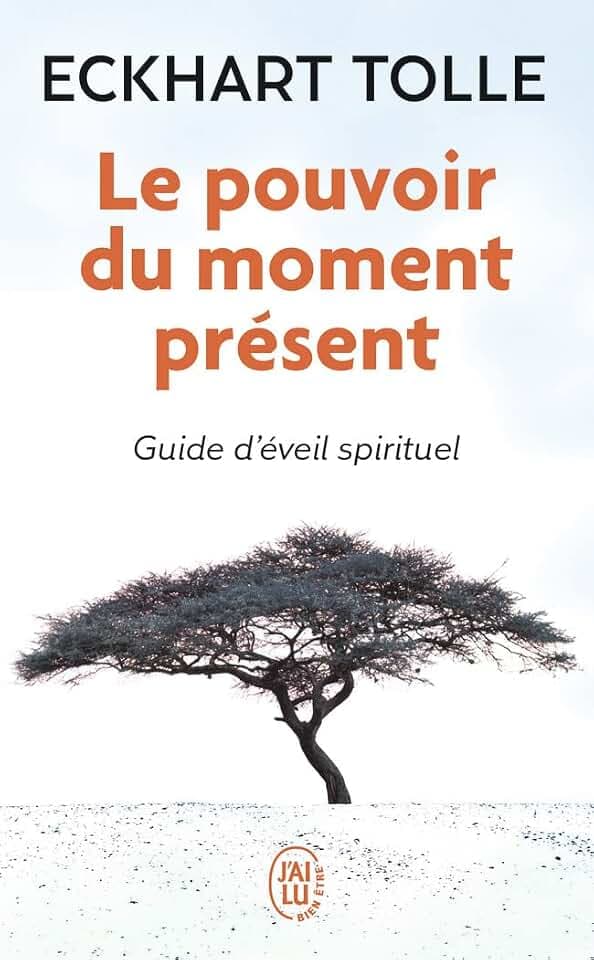 Le pouvoir du moment présent: Guide d'eveil spirituel