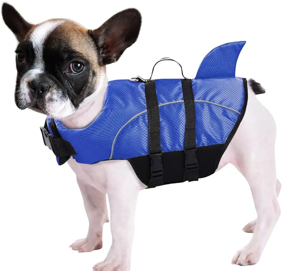 Queenmore Ripstop Dog Life Jacket Shark Life Vest for Small/Medium Breeds