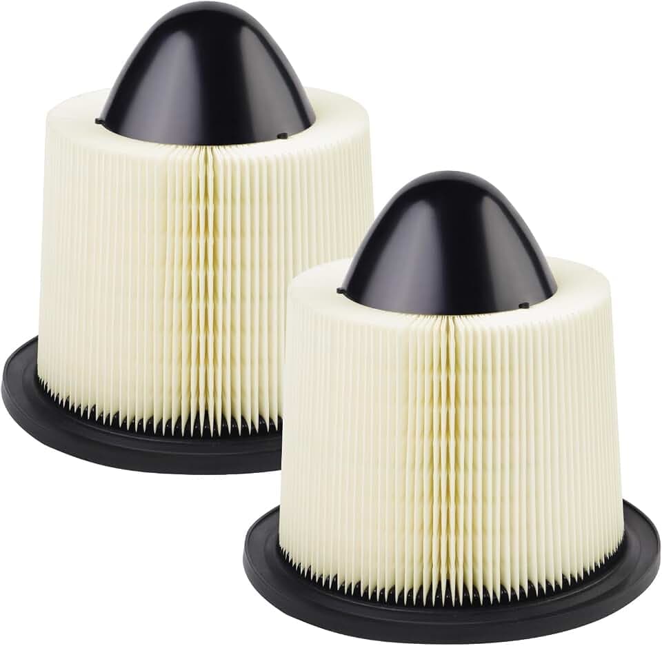 2-Pack Engine Air Filters for F-150 1997-08 (4.2L 4.6L), F-150 1997-03 5.4L