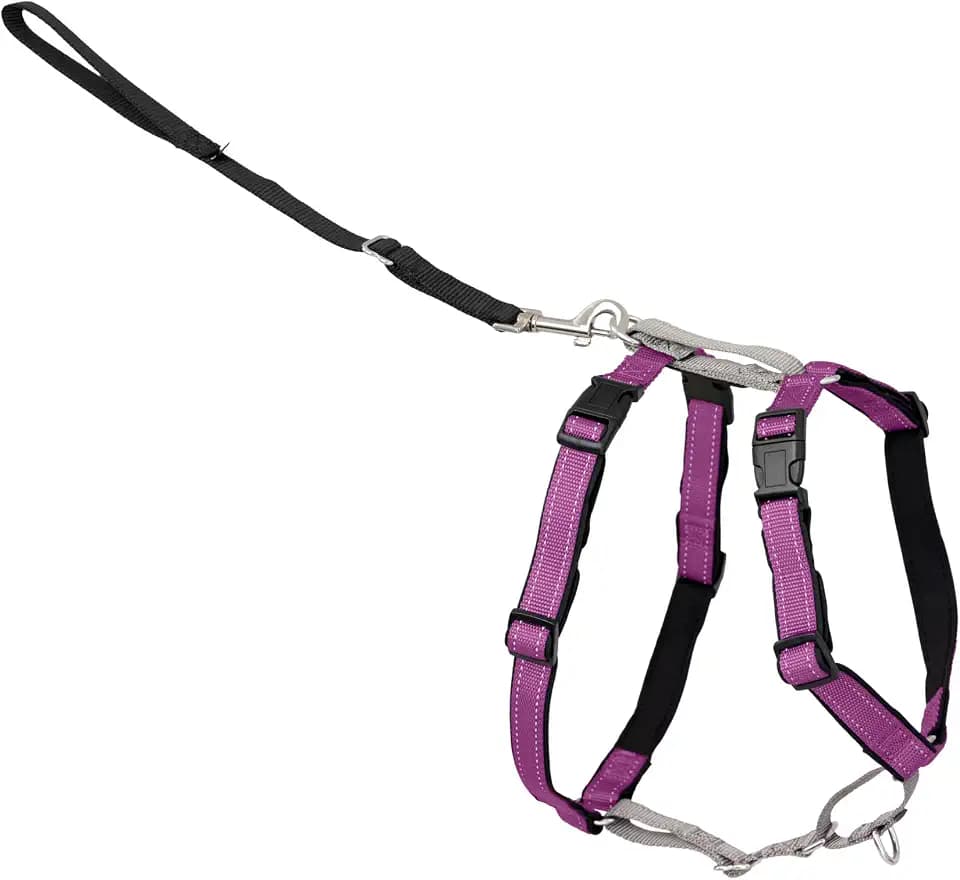 PetSafe Easy Walk 3 in 1 No Pull Dog Harness, Plum, Medium