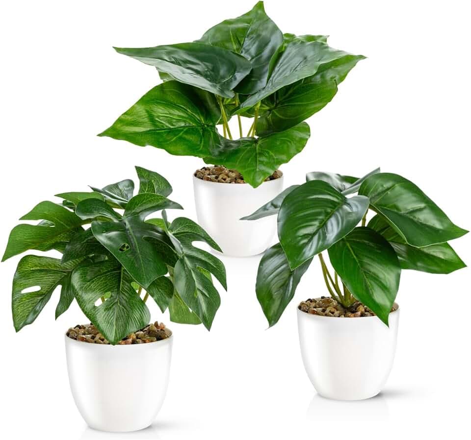 PASCH® 3er Set Kunstpflanzen wie echt (18cm) in Hochglanz-Keramiktöpfen | Kunstpflanzen im Topf | Künstliche Pflanzen im Topf | Kunstblumen Fake Plant
