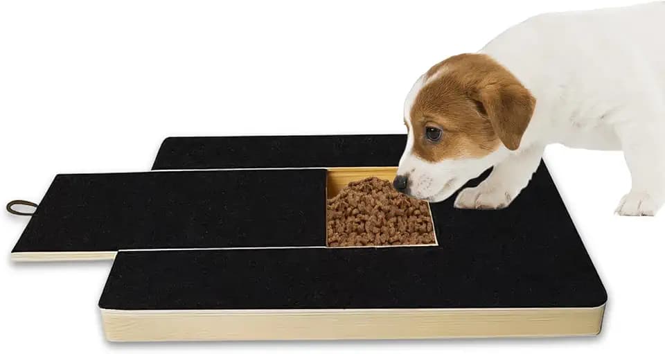 Molbory Kratzbrett für Hunde, Hundekratzbrett mit integrierter Leckerlibox, Alternative zu Hundenagelclippern und -schleifern, Stabil und langlebig aus Holz und Sandpapier