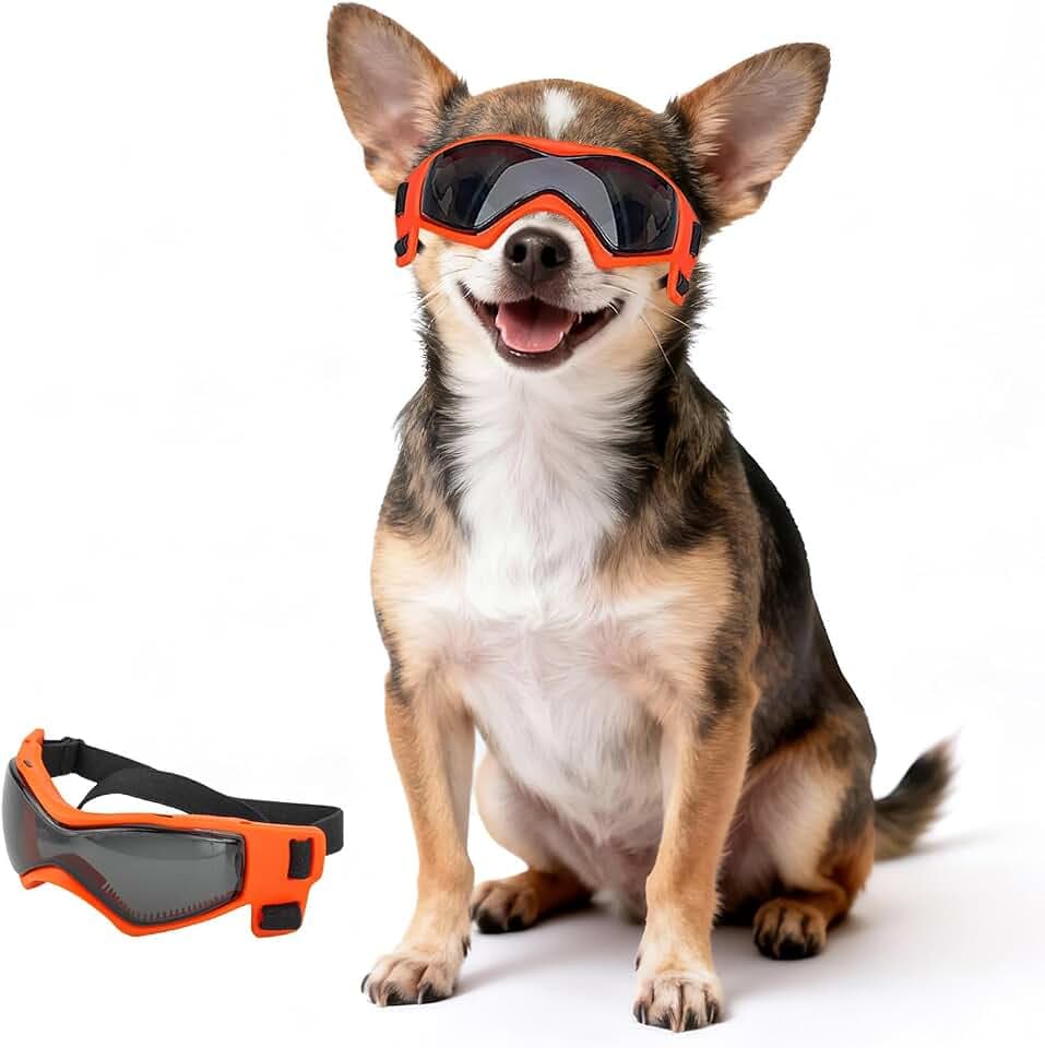 Extra kleine Hundebrille, Anti-UV, winddicht, XS, Augenschutz, Chihuahua-Brille mit verstellbaren Trägern zum Autofahren/Outdoor-Aktivitäten - Orange, XS