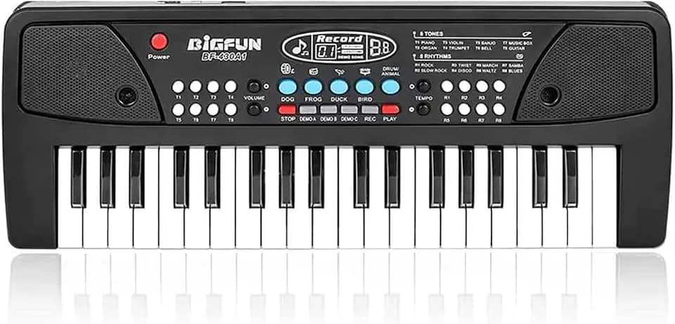 LeeQee 37 Keys Mini Electric Piano Keyboard for Kids with Microphone, Black