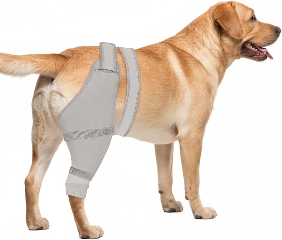 Dog Rear Leg Sleeve to Stop Licking, Hind Leg Protector for TPLO Recovery, ACL Surgery, Wounds or Skin Issues, Soft Breathable Cover for Large Medium Small Dogs