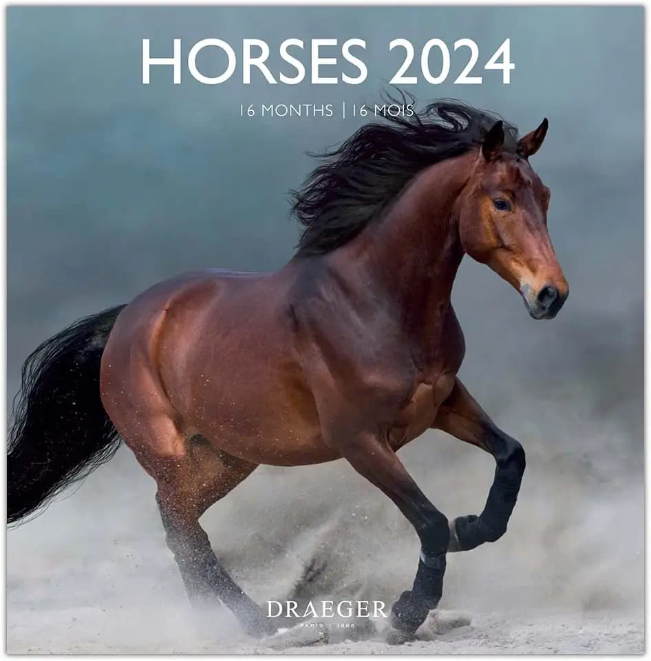 DRAEGER PARIS | Großer Wandkalender Pferde 2024 hängend 29 x 29 cm | 16 Monate Sep-23 bis Dez 24 | 7 Sprachen | Bürokalender, Zuhause, monatlich | Dekoration, Organisation | FSC®-zertifiziertes Papier