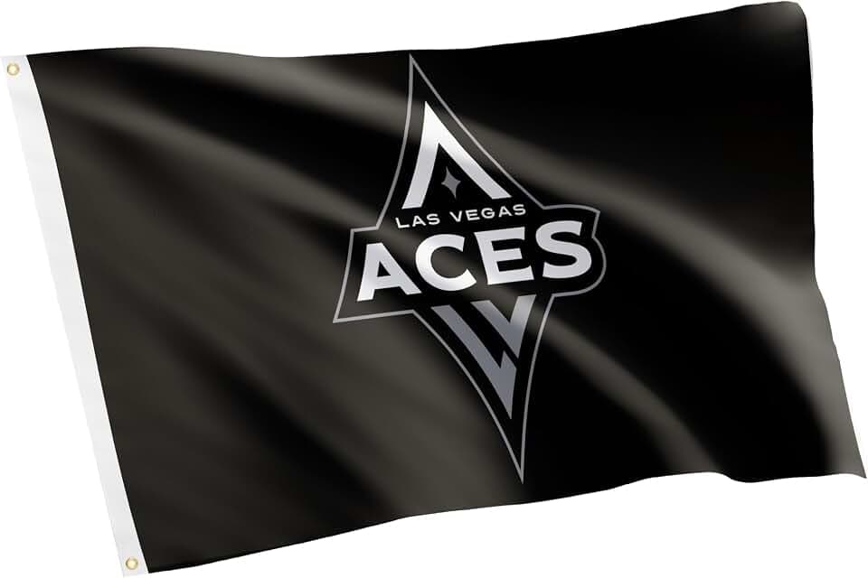 Desert Cactus Las Vegas Aces Flag 3x5 Outdoor (D)