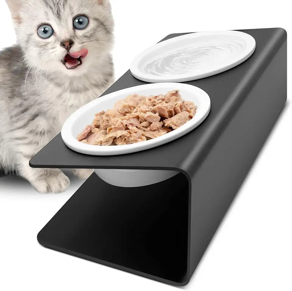 Katzennapf Erhöht - 2X Fressnapf Katze aus Keramik mit Metall Ständer - Futterstation Katzen Erhöht - Katzen Napfset für Katzen Hunde Welpe Futter und Wasser