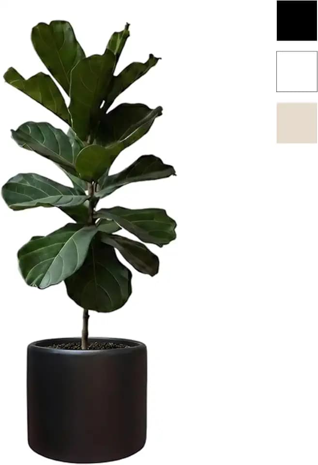 Lumero Fiberstone Cylinder Planter, Matte Finishes (XL, Black)