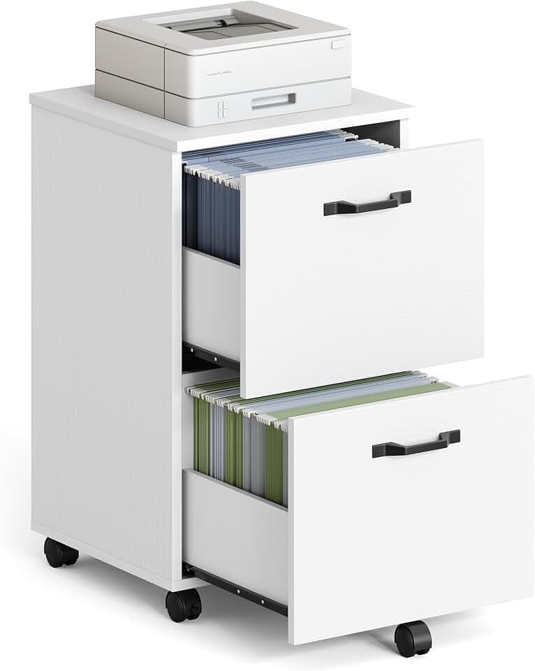 VASAGLE 2-Drawer File Cabinet, Small Rolling Filing Cabinet