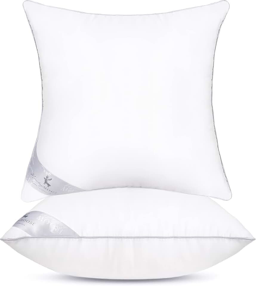 MONDAY MOOSE Throw Pillow Inserts, Set of 2 White Soft Microfiber Piping Designs, Square Pillows for Bed, Couch, Sofa (2-Pack, 18x18 inch)