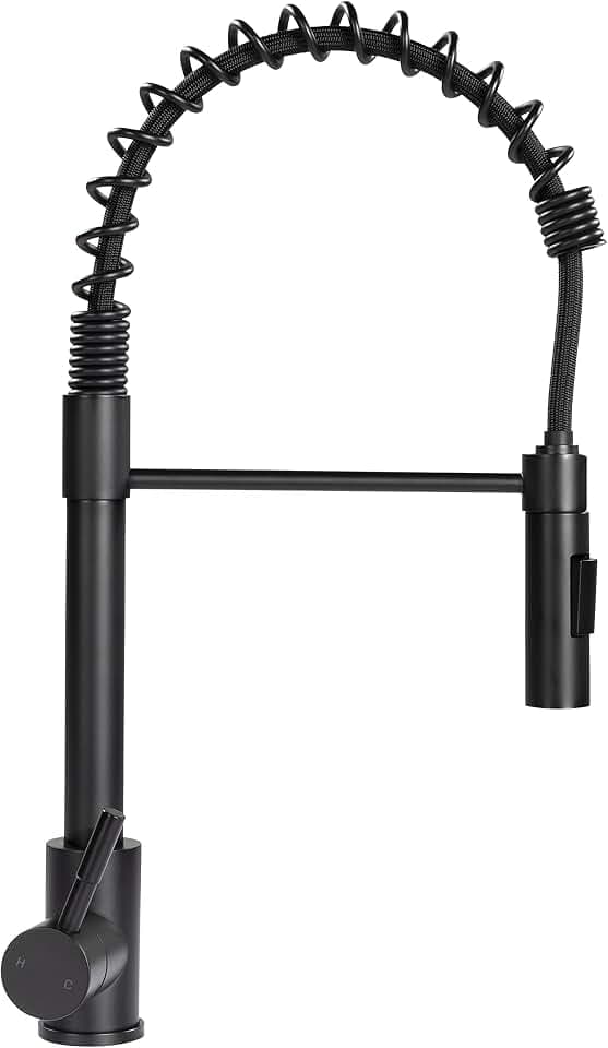 Lippert Flow Max Coiled Pull Down Kitchen Faucet for RVs and Residential,2021090598