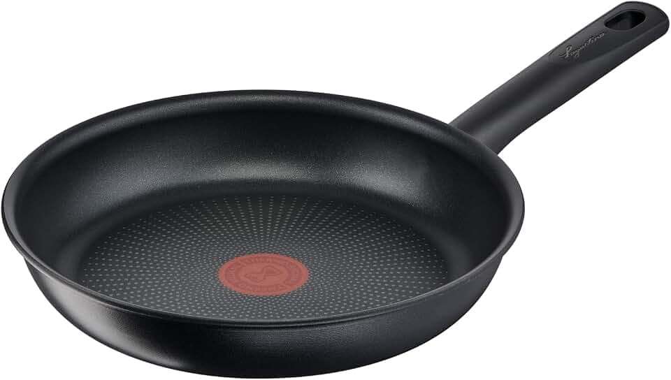 Lagostina Rigenera Green Antihaft-Pfanne aus Aluminium, Ø 22 cm, Induktionskochtopf für Gas und Backofen, kratzfeste Beschichtung, ergonomischer Griff