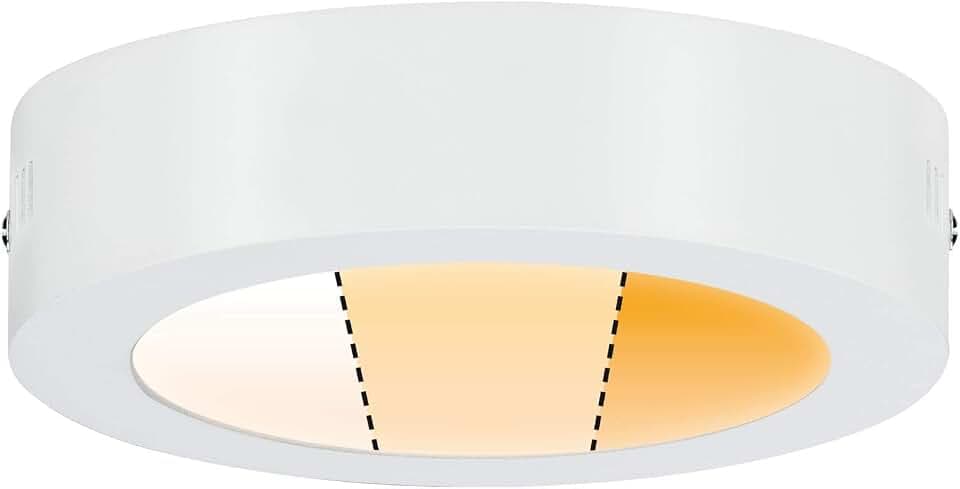 Paulmann 79790 Carpo LED Panel 170mm rund 10,2W Weiß matt mit Warmdimmfunktion 3000-2300K