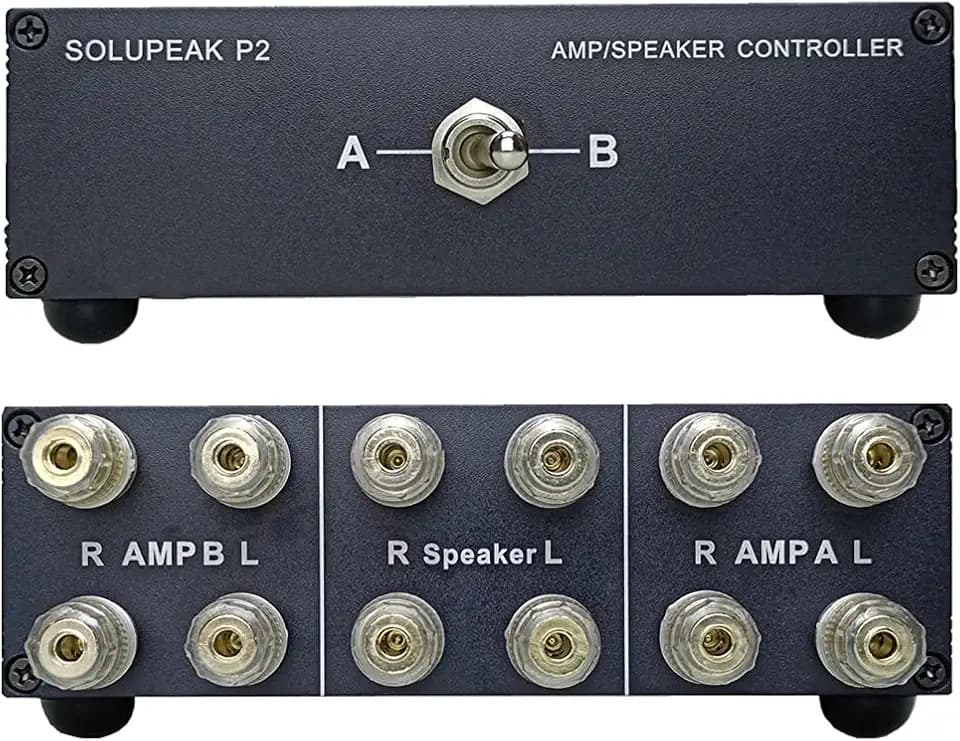 P2 2 Way Amp/Speaker Switch Selector Box, Passive Audio Switcher