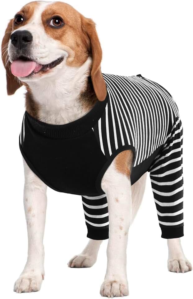 Kuoser Dog Recovery Suit with Anti Licking Rear Leg Sleeve, Black M
