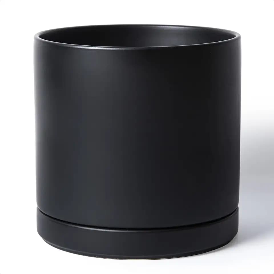 D'vine Dev 12 Inch Ceramic Planter Pot, Black, 94-O-F-2